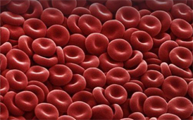Исследование живой капли крови (гемосканирование) (Видео)