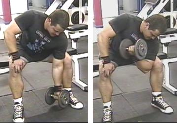 dumbell concentration curls
