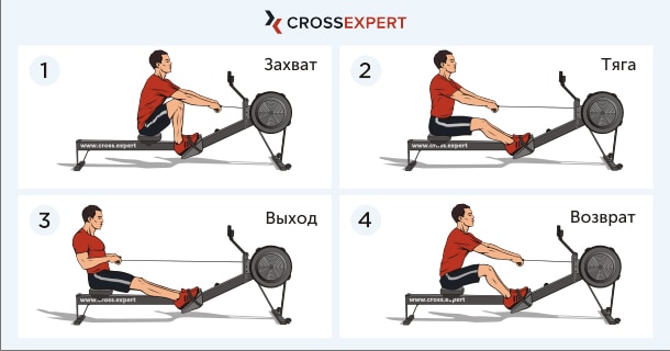 Гребля на гребном тренажере - техника выполнения