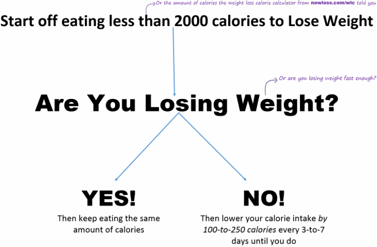 are you losing weight
