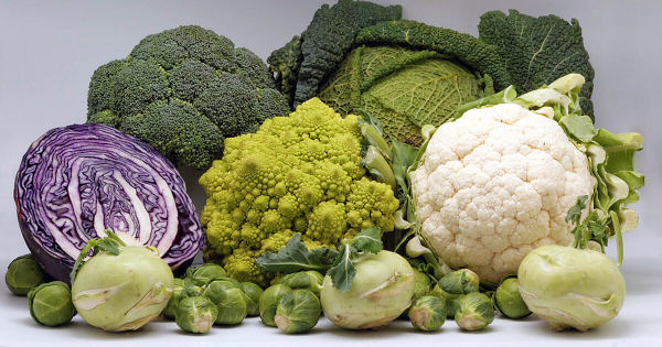 Avoid Cruciferous Vegetables for flat belly
