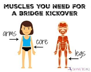 muscles you need for a bridge kickover