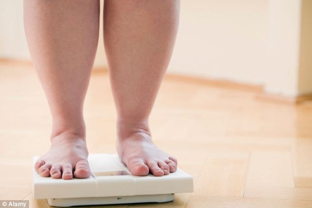 Weighty issue: Over the past 60 years the proportion of protein in Western diets has dropped, and researchers suggest this could account for soaring levels of obesity