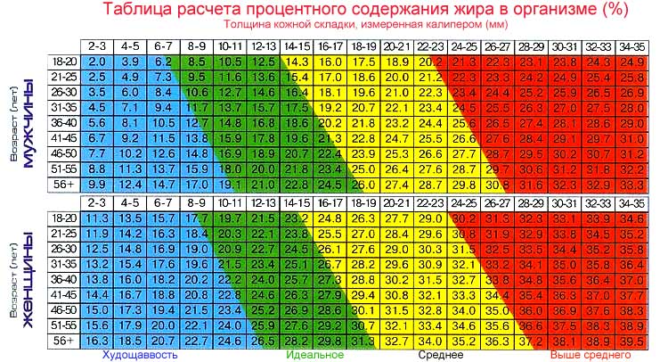 Как определить процент жира в организме?