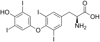 Strukturformel von L-Thyroxin