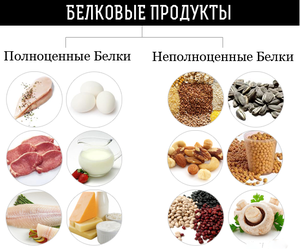 Продукты питания богаты белками