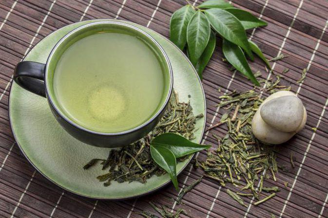рин слим чай для похудения отзывы врачей 